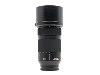 Panasonic Lumix S 70-300mm f/4.5-5.6 Macro OIS