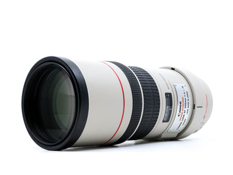 Canon EF 300mm f/4 L USM 