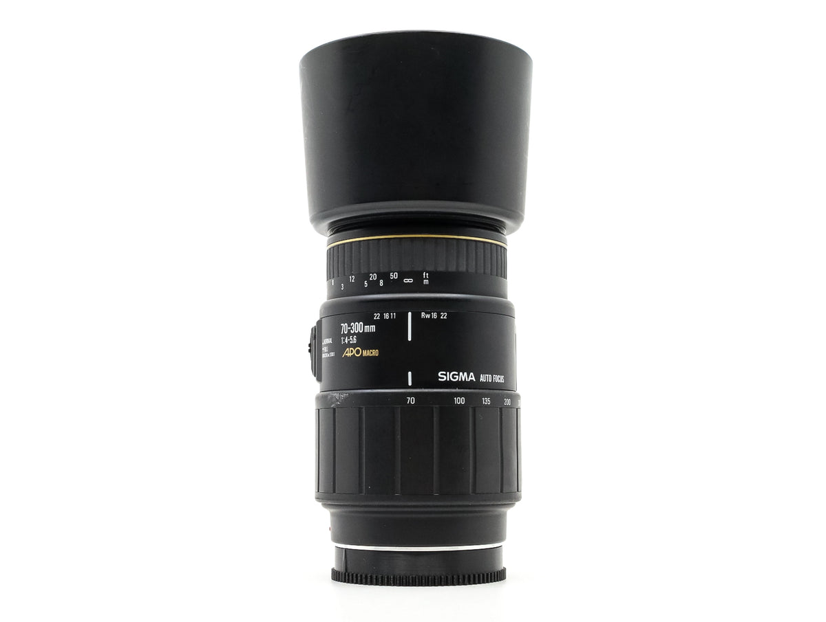 Sigma 70-300mm f/4-5.6 APO Macro - Sony A-fattning · imagen principal