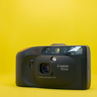Vista 4