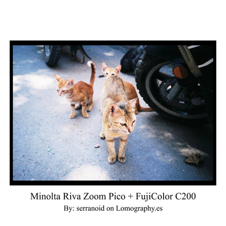 Minolta Riva Zoom Pico – 35 mm kompaktkamera för film