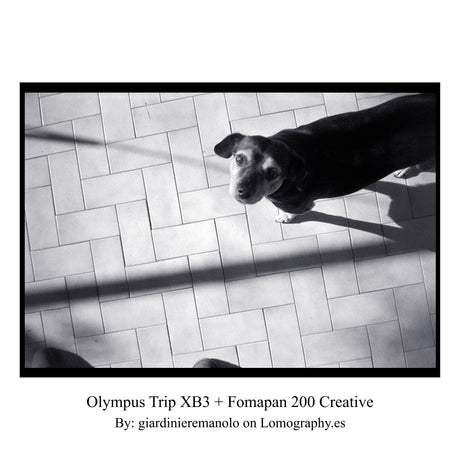 Olympus Trip XB3 – 35 mm filmkamera